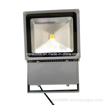 LED Waterproof Outdoor Projector 70W